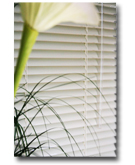 25mm venetian blinds